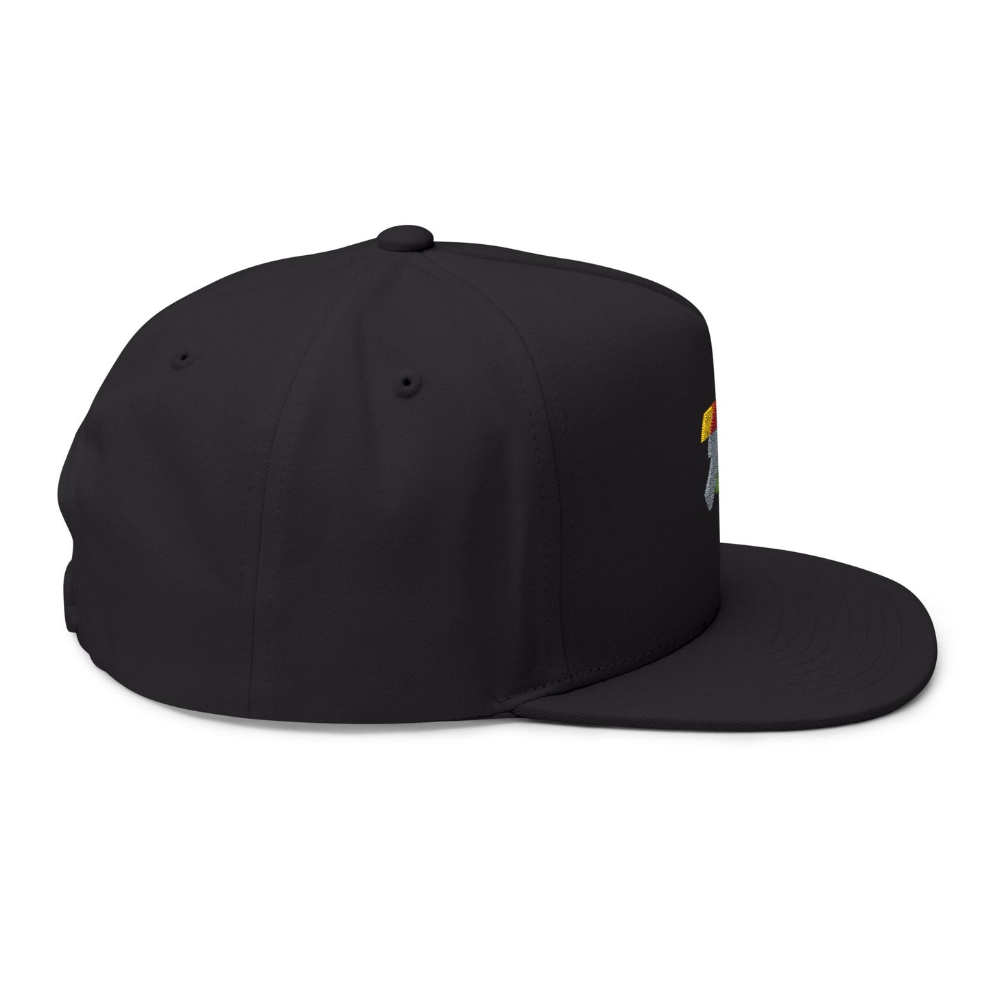 Embroidered Retro Lightning Flat Bill Cap — Rainbow Accent Snapback