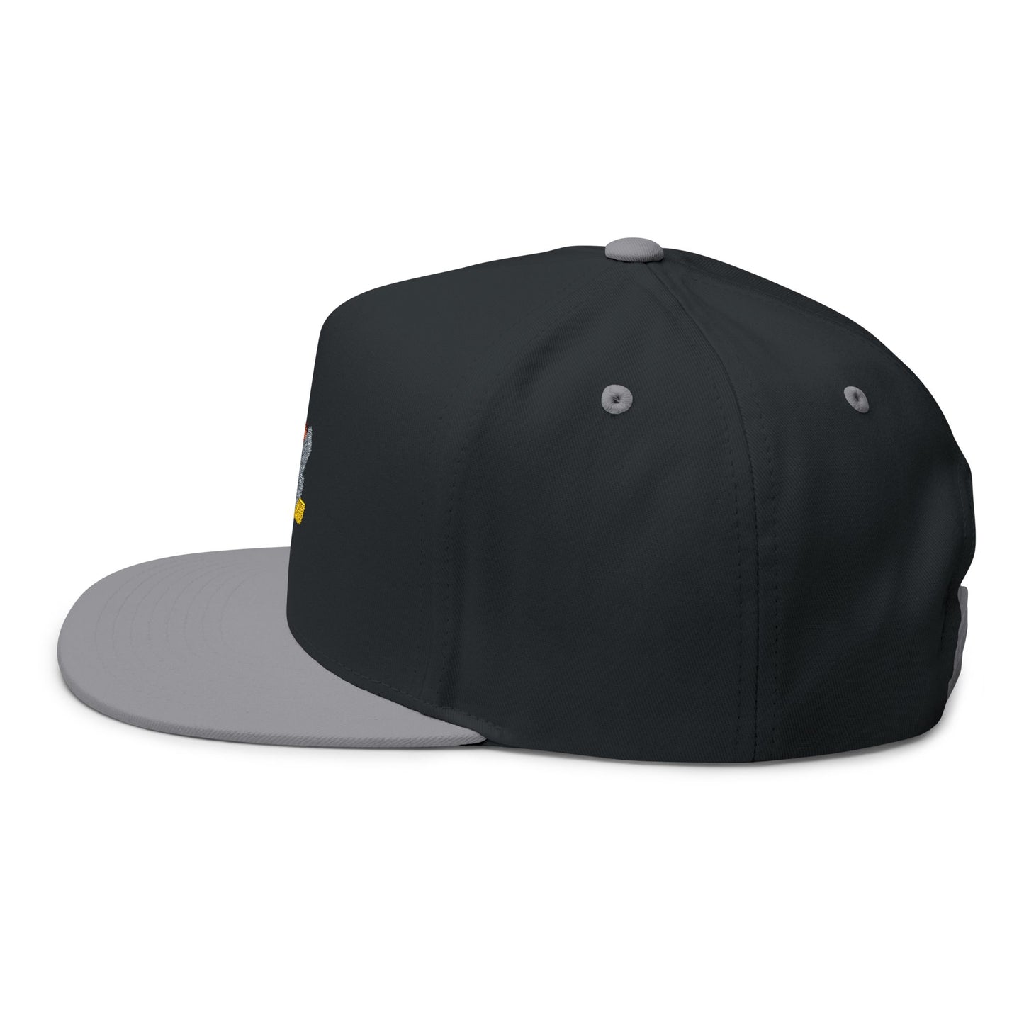Embroidered Retro Lightning Flat Bill Cap — Rainbow Accent Snapback