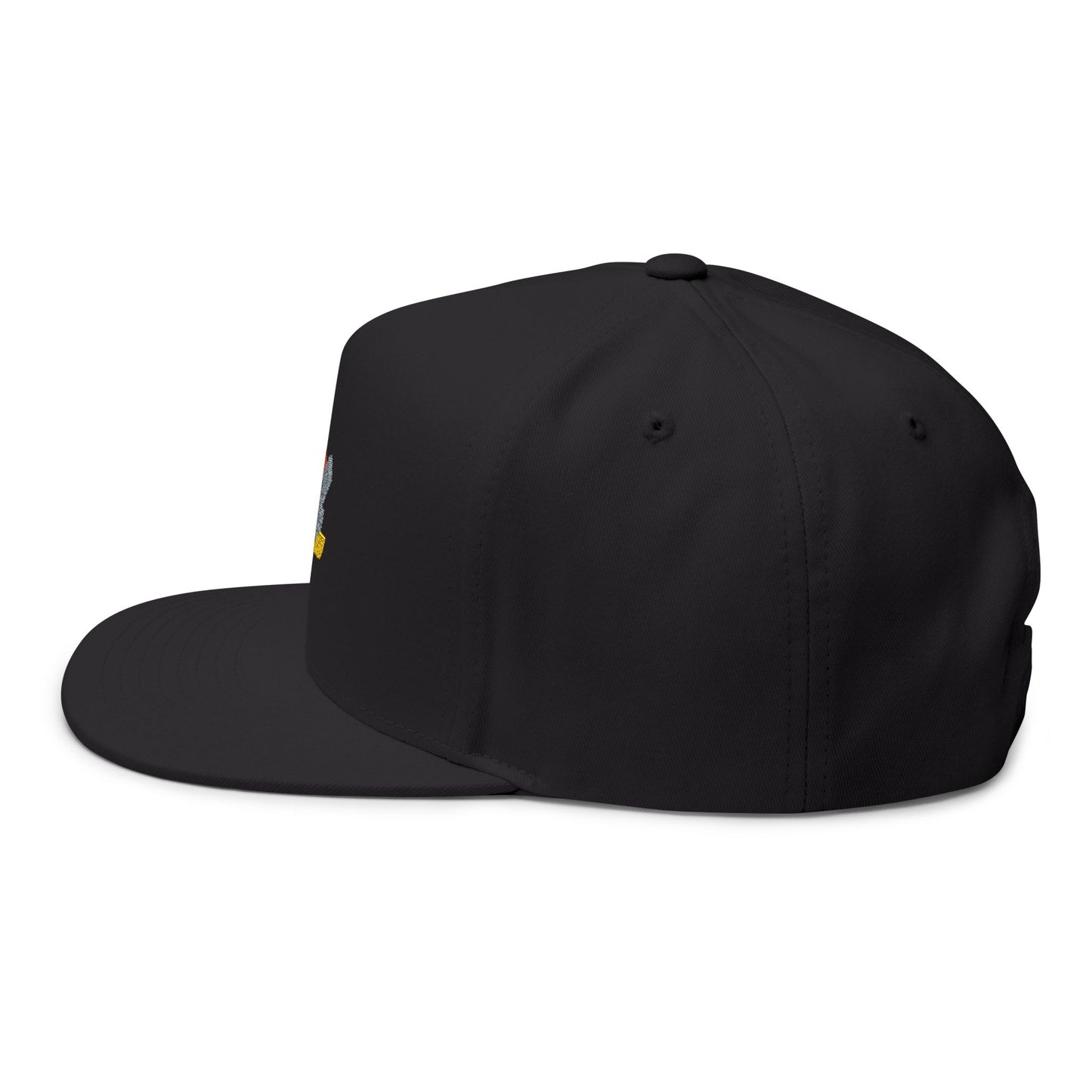 Embroidered Retro Lightning Flat Bill Cap — Rainbow Accent Snapback