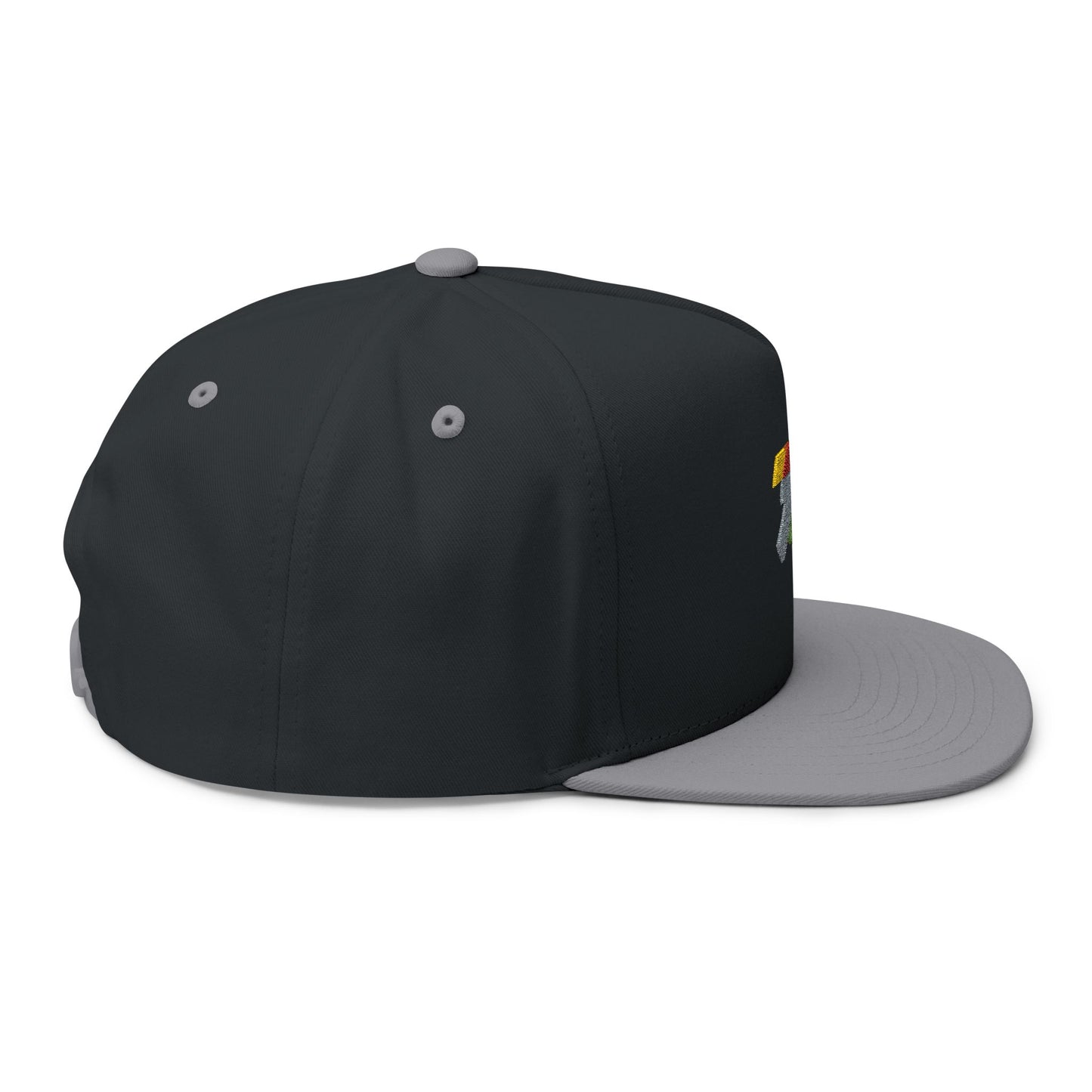 Embroidered Retro Lightning Flat Bill Cap — Rainbow Accent Snapback